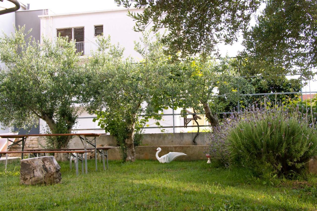 Pepi 1 * Zadar